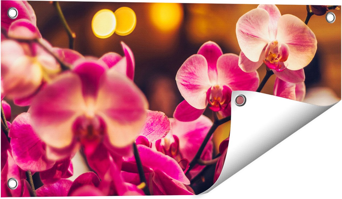 Gards Tuinposter Roze Orchidee Bloemen - 60x30 cm - Tuindoek - Tuindecoratie - Wanddecoratie buiten - Tuinschilderij Multikleur