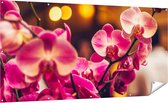 Gards Tuinposter Roze Orchidee Bloemen - 200x100 cm - Tuindoek - Tuindecoratie - Wanddecoratie buiten - Tuinschilderij