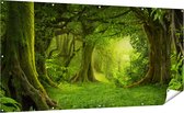 Gards Tuinposter Groene Tropische Jungle Bos - 200x100 cm - Tuindoek - Tuindecoratie - Wanddecoratie buiten - Tuinschilderij