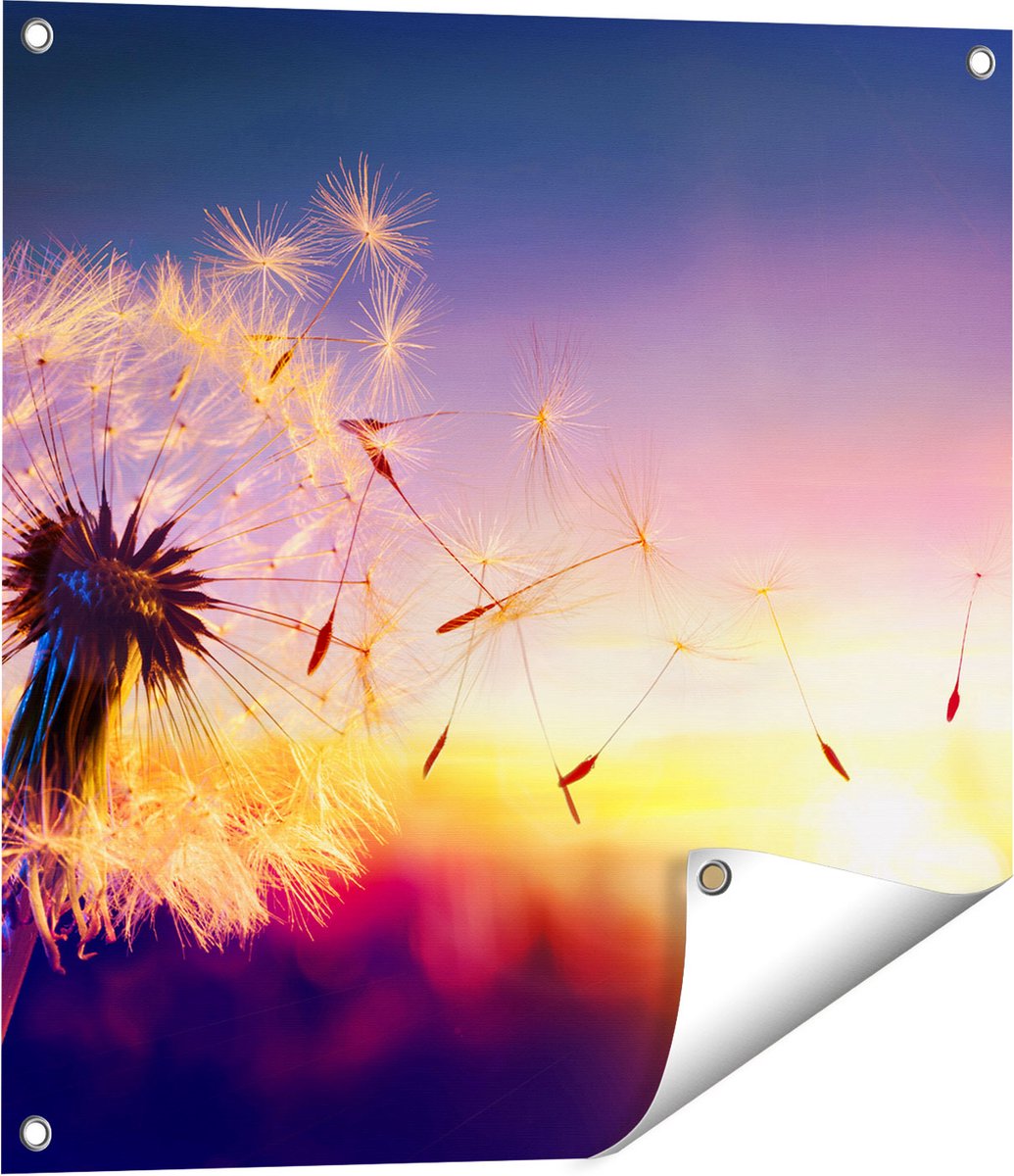 Gards Tuinposter Paardenbloem tijdens Zonsondergang - 60x60 cm - Tuindoek - Tuindecoratie - Wanddecoratie buiten - Tuinschilderij Multikleur