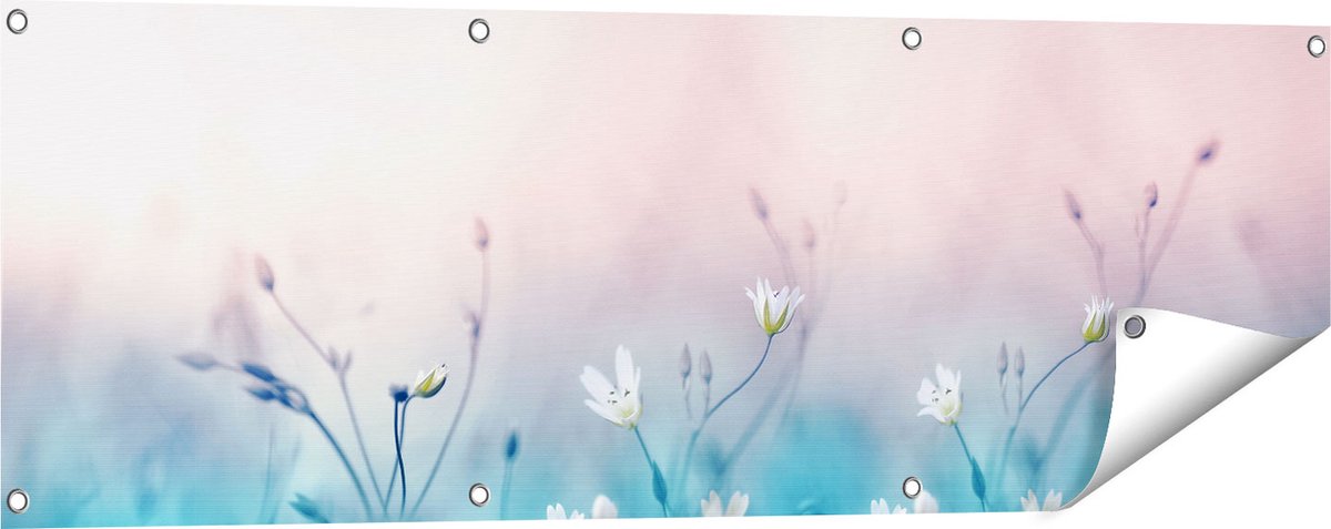 Gards Tuinposter Witte Bloemen op een Blauw Achtergrond - 120x40 cm - Tuindoek - Tuindecoratie - Wanddecoratie buiten - Tuinschilderij Multikleur