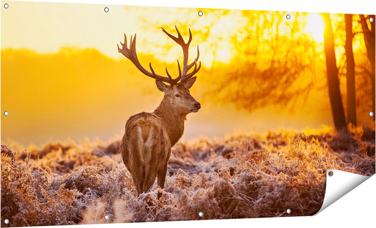 Gards Tuinposter Hert in Bos tijdens de Zonsopkomst - 160x80 cm - Tuindoek - Tuindecoratie - Wanddecoratie buiten - Tuinschilderij Multikleur