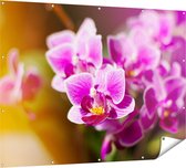 Gards Tuinposter Paarse Orchidee Bloemen - 160x120 cm - Tuindoek - Tuindecoratie - Wanddecoratie buiten - Tuinschilderij