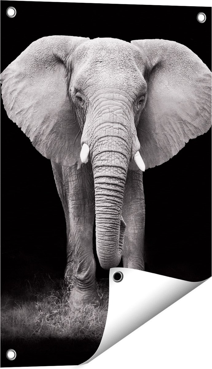 Gards Tuinposter Olifant - Zwart Wit - 40x60 cm - Tuindoek - Tuindecoratie - Wanddecoratie buiten - Tuinschilderij Multikleur