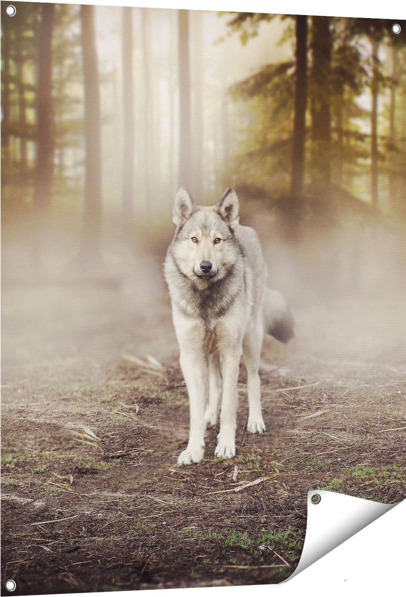 Gards Tuinposter Grijze Wolf in het Bos - 80x100 cm - Tuindoek - Tuindecoratie - Wanddecoratie buiten - Tuinschilderij Multikleur