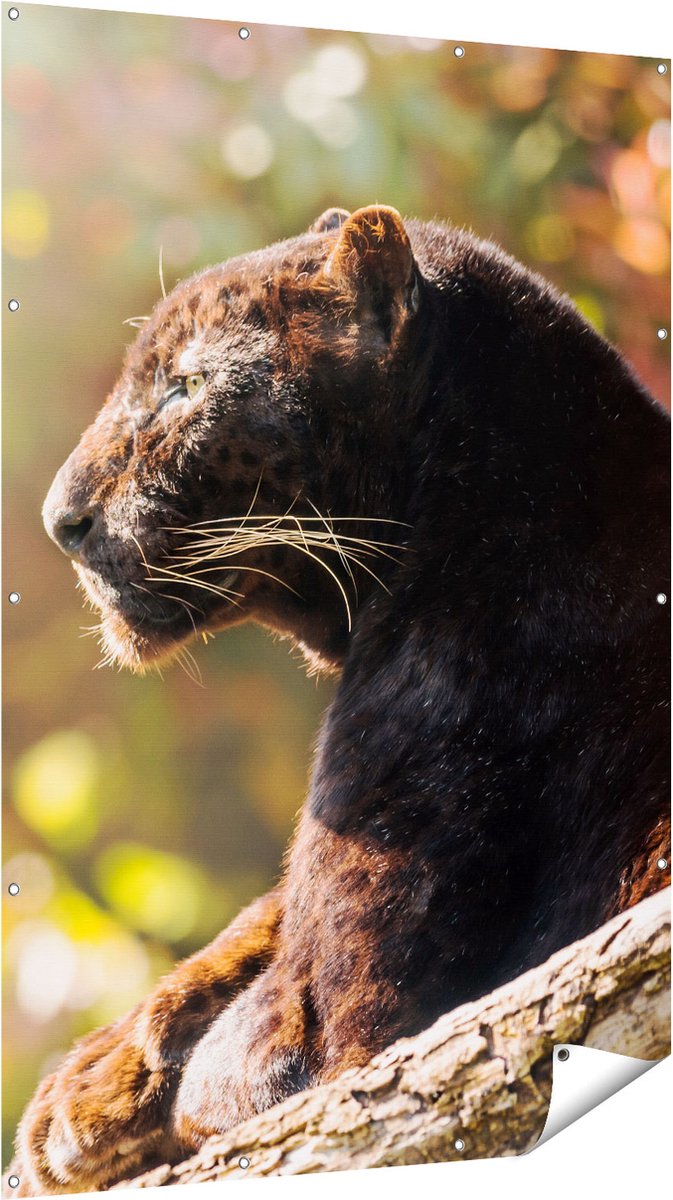 Gards Tuinposter Zwarte Panter vanaf de Zijkant - 120x180 cm - Tuindoek - Tuindecoratie - Wanddecoratie buiten - Tuinschilderij Multikleur