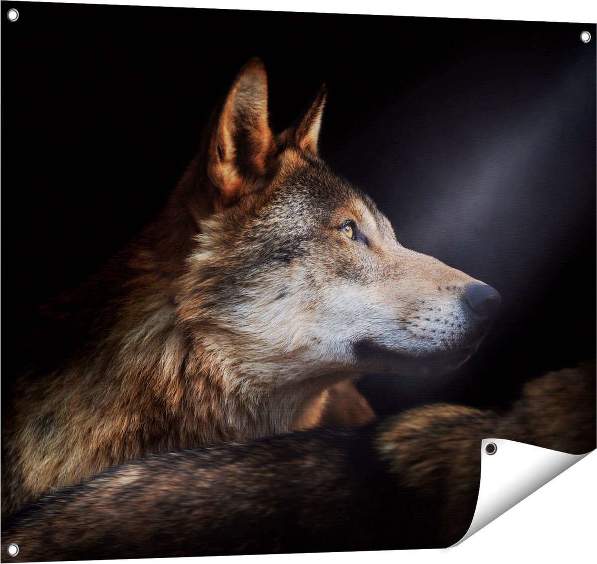 Gards Tuinposter Wolvenkop met een Zonnestraal - Wolf - 100x80 cm - Tuindoek - Tuindecoratie - Wanddecoratie buiten - Tuinschilderij Multikleur