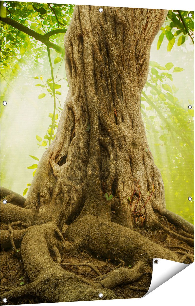 Gards Tuinposter Grote Boom in het Bos met Wortels - 90x120 cm - Tuindoek - Tuindecoratie - Wanddecoratie buiten - Tuinschilderij Multikleur