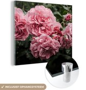 MuchoWow® Glasschilderij 50x50 cm - Schilderij acrylglas - Roze - Bloemen - Rozen - Foto op glas - Schilderijen