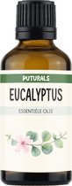 Huile d'eucalyptus 100% biologique et pure - 30 ml - Convient pour la peau, les cheveux et l'aromathérapie - Contre l'acné et les pellicules - Huile d'eucalyptus pour diffuseur, bain à l'eucalyptus ou sauna - Pure et certifiée COSMOS