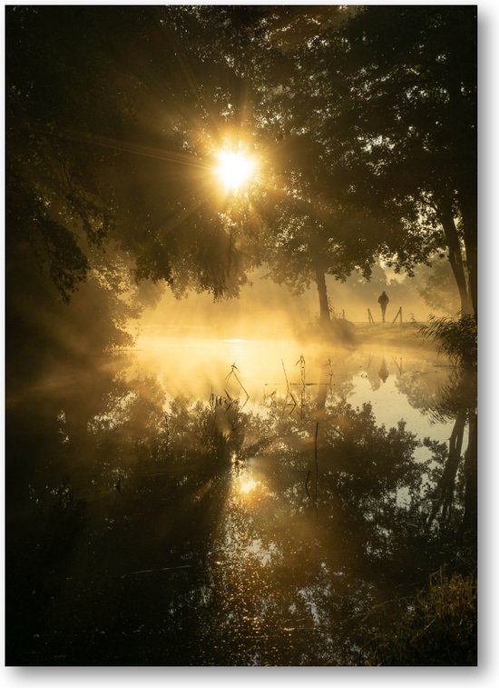 2019 - Weerspiegeling sunbeams in Haren - Foto op Dibond 50x70