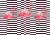 Fotobehang - Vlies Behang - Flamingo's op een zwart-witte achtergrond - 416 x 254 cm
