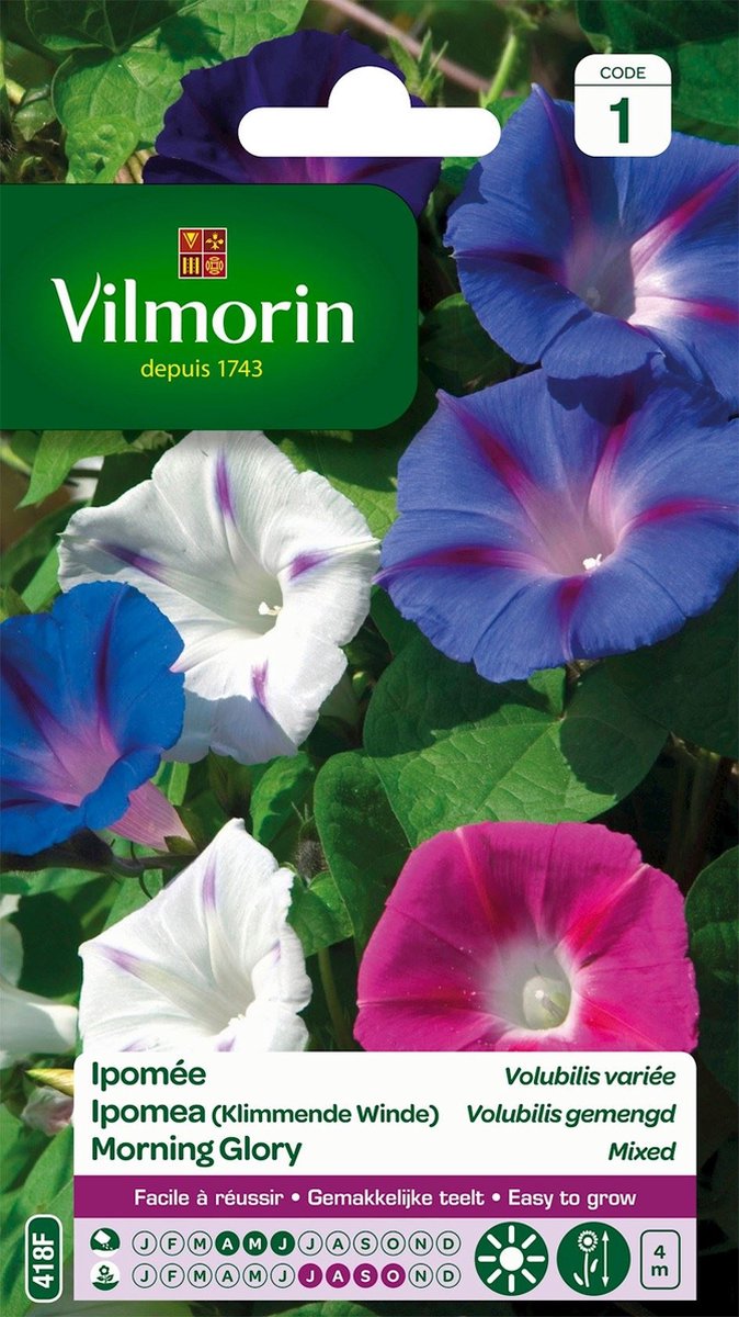 Vilmorin Ipomea- klimmende winde- Volubilis gemengd/ mix