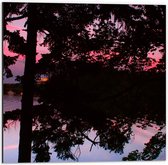 Dibond - Silhouet van Bladeren aan Bomen bij Groot Meer tijdens Rozekleurige Zonsondergang - 50x50 cm Foto op Aluminium (Wanddecoratie van metaal)