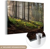 MuchoWow - Glasschilderij - Schilderij glas - Zonlicht - Takken - Boom - Foto op glas - 120x80 cm - Acrylglas - Wanddecoratie - Glasschilderij binnen - Schilderijen woonkamer