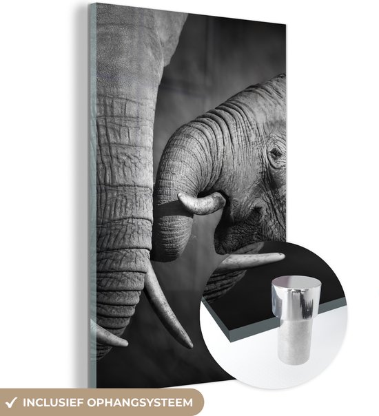 Glasschilderij - Foto op glas - Acrylglas - Wilde dieren - Olifanten - Zwart - Wit - 40x60 cm - Decoratie woonkamer - Glasschilderij olifant - Glasschilderij dieren - Wanddecoratie glas
