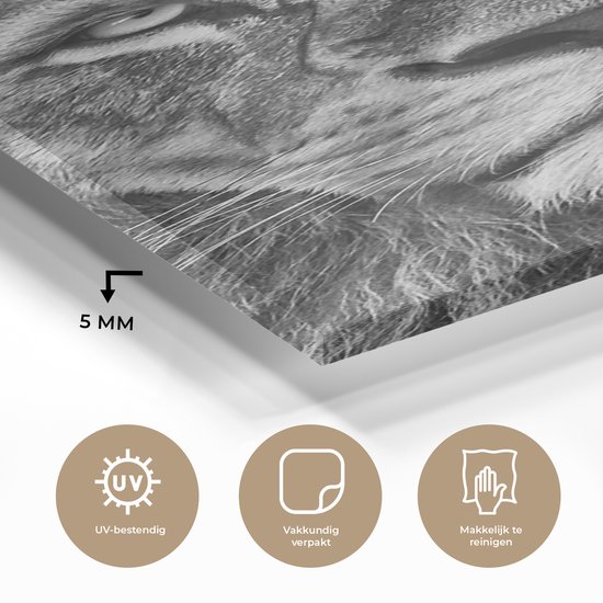 Peinture sur verre - Photo sur verre - Verre acrylique - Animaux sauvages - Lion - Zwart - Wit - 60x120 cm - Peinture sur verre lion - Peinture sur verre - Décoration chambre - Chambre