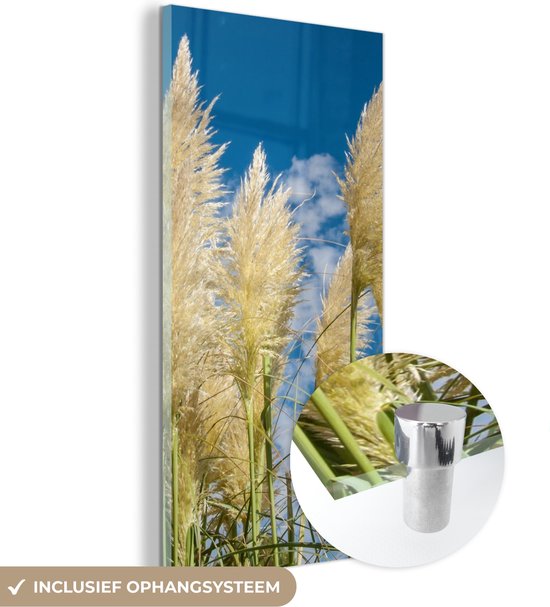 MuchoWow® Peinture sur verre 80x160 cm - Peinture sur verre acrylique - Herbe de la pampa - Plante - Nature - Photo sur verre - Peintures