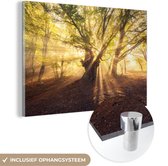 MuchoWow® Peinture sur verre - Arbre - Forêt - Soleil - 30x20 cm - Peintures acrylique - Photo sur Glas