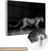 Glasschilderij - Acrylglas - Foto op glas - Wilde dieren - Luipaard - Gras - Zwart - Wit - Muurdecoratie dieren - 150x100 cm - Woonkamer - Kamer decoratie - Wanddecoratie