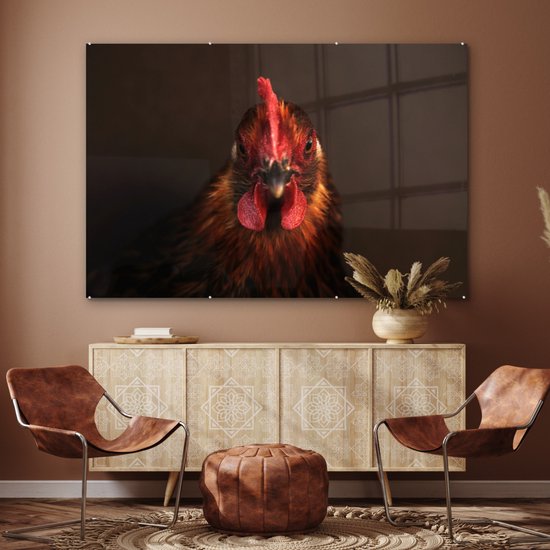 Tête de coq de près Plexiglas 180x120 cm - Tirage photo sur verre (décoration murale plexiglas) XXL / Grand format!