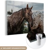 MuchoWow® Glasschilderij 60x40 cm - Schilderij acrylglas - Paarden - Gras - Dieren - Foto op glas - Schilderijen