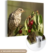 MuchoWow® Peinture sur verre - Vogel sur une branche - 120x90 cm - Peintures sur verre acrylique - Photo sur Glas