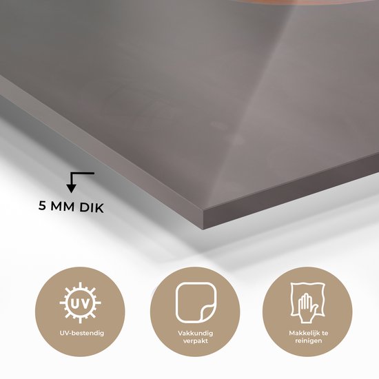 MuchoWow® Peinture sur verre 150x100 cm - Peinture sur verre acrylique - Insecte - Oranje - Feuille - Photo sur verre - Peintures