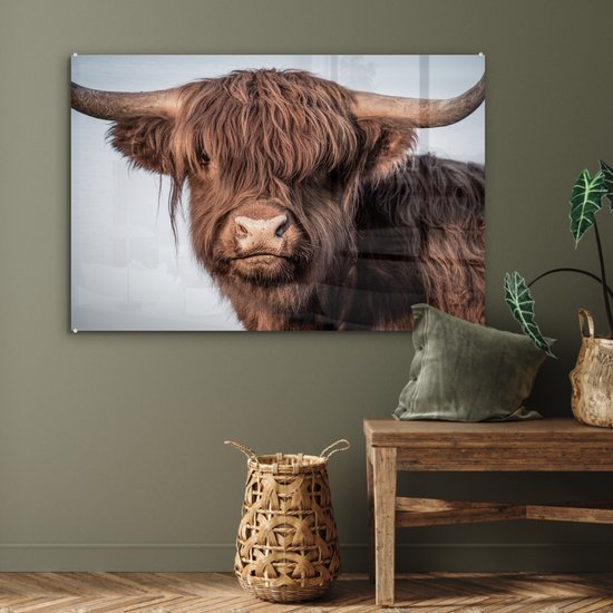 Close-up van een Schotse hooglander met lange, bruine vacht en grote hoorns, met op de achtergrond een lichte, wazige hemel.