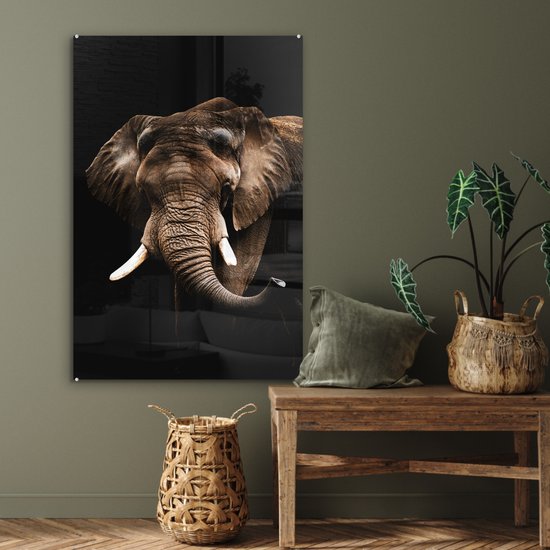Peintures Plexiglas - Éléphant - Zwart - Animaux - 60x90 cm - Peintures sur verre