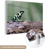 MuchoWow® Peinture sur verre 180x120 cm - Peinture sur verre - Grenouille - Zwart - Vert - Photo sur verre acrylique - Peintures