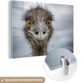 MuchoWow® Glasschilderij 90x60 cm - Schilderij acrylglas - Vogelkop van emoe - Foto op glas - Schilderijen