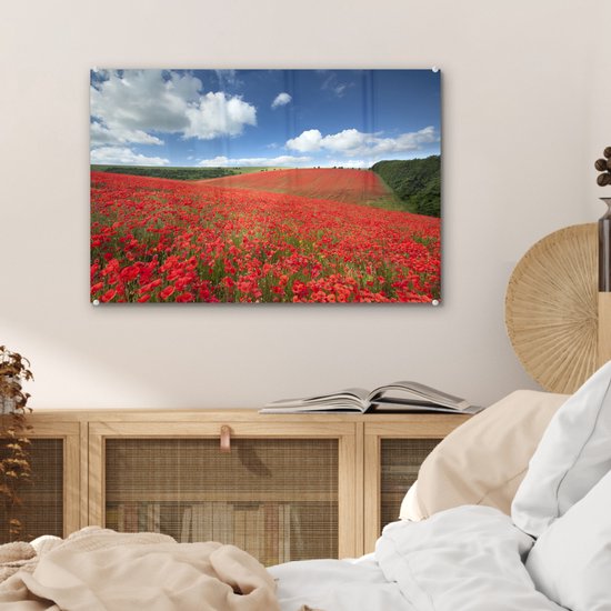 MuchoWow® Peinture sur verre 60x40 cm - Peinture sur verre acrylique - Coquelicots - Fleurs - Ciel - Photo sur verre - Peintures