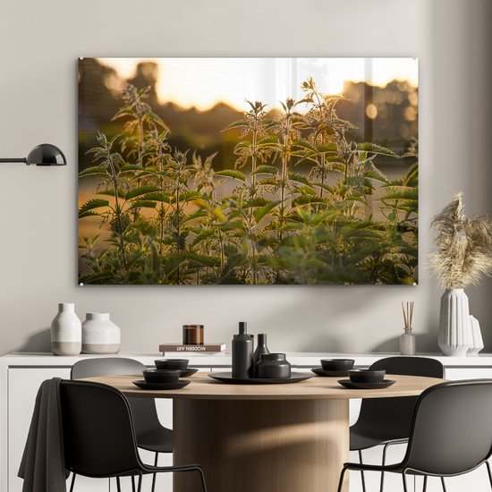 ® Glasschilderij 120x80 cm - Schilderij acrylglas - De zon gaat onder op de achtergrond bij een groep brandnetels - Foto op glas - Muurdecoratie woonkamer - Wanddecoratie slaapkamer - Schilderijen