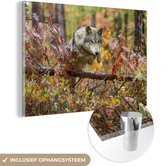 MuchoWow® Glasschilderij 180x120 cm - Schilderij acrylglas - Wolf - Tak - Bos - Foto op glas - Schilderijen