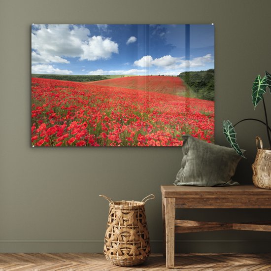 MuchoWow® Peinture sur verre 90x60 cm - Peinture sur verre acrylique - Coquelicots - Fleurs - Ciel - Photo sur verre - Peintures