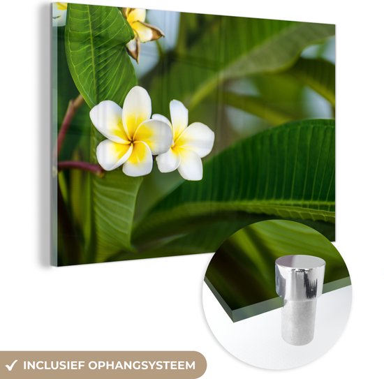 MuchoWow® Peinture sur verre 120x80 cm - Peinture acrylique sur verre - Fleurs - Jaune - Feuilles - Photo sur verre - Peintures