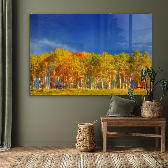 MuchoWow® Peinture sur verre 180x120 cm - Peinture sur verre - Peupliers colorés en automne - Photo sur verre acrylique - Peintures