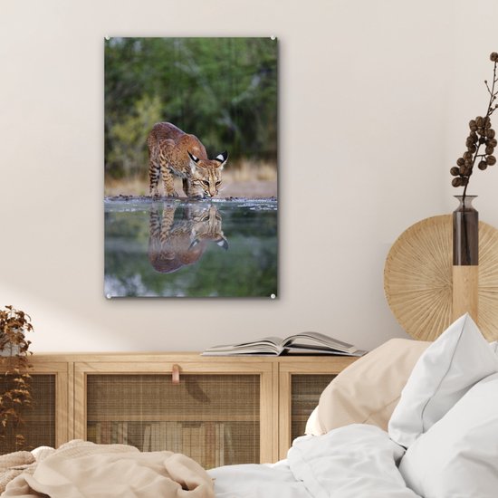 Peinture sur Verre - Lynx - Animal - Water - Buvant - 40x60 cm - Peintures sur Verre Peintures - Photo sur Glas