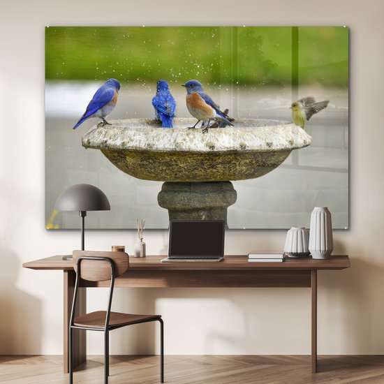 MuchoWow® Peinture sur verre 150x100 cm - Peinture sur verre acrylique - Vogel - Bain d'oiseaux - Water - Photo sur verre - Peintures