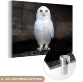 MuchoWow® Glasschilderij 150x100 cm - Schilderij acrylglas - Sneeuwuil - Foto op glas - Schilderijen