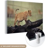 MuchoWow® Peinture sur Verre - Lion - Tronc d'Arbre - Cub - 150x100 cm - Peintures sur Verre Acrylique - Photo sur Glas
