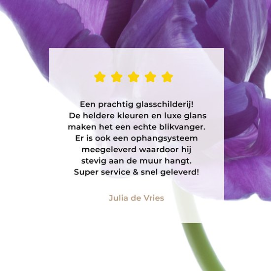 MuchoWow® Peinture sur verre 100x150 cm - Peinture sur verre acrylique - tulp violette sur fond blanc - Photo sur verre - Peintures