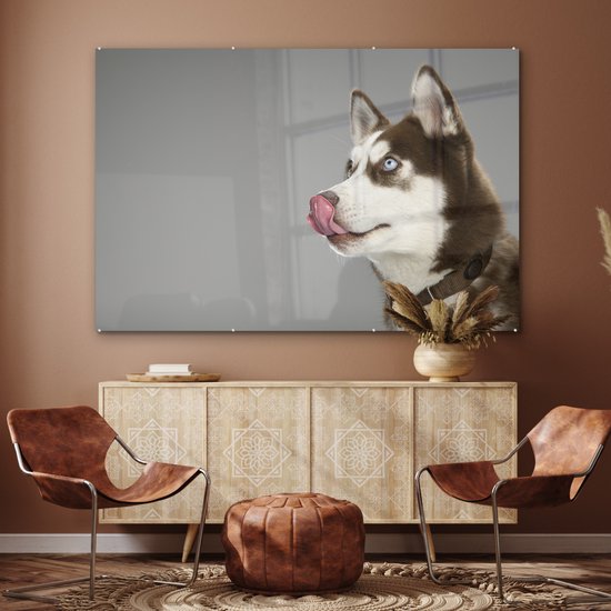 MuchoWow® Peinture sur verre - Husky - Animal - Lécher - 180x120 cm - Peintures sur verre acrylique - Photo sur Glas