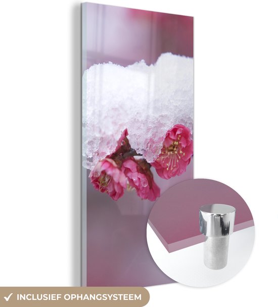 MuchoWow® Glasschilderij 40x80 cm - Schilderij acrylglas - Roze - Bloem - Winter - Foto op glas - Schilderijen
