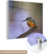 MuchoWow® Glasschilderij 90x90 cm - Schilderij acrylglas - IJsvogel fotoprint - Foto op glas - Schilderijen