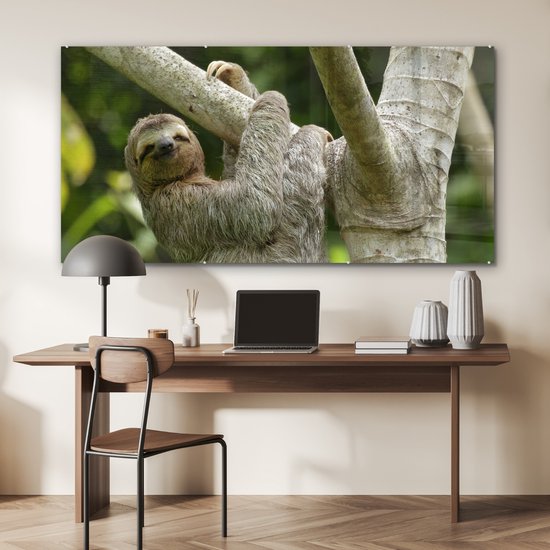 MuchoWow® Peinture sur verre - Un paresseux accroché à une branche - 160x80 cm - Peintures sur verre acrylique - Photo sur Glas