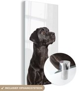 MuchoWow® Glasschilderij 20x40 cm - Schilderij acrylglas - Omhoog kijkende honden - Foto op glas - Schilderijen