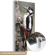 MuchoWow® Glasschilderij 20x40 cm - Schilderij acrylglas - Een grote bonte specht in op een boomstam - Foto op glas - Schilderijen