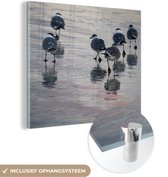 MuchoWow® Glasschilderij 50x50 cm - Schilderij acrylglas - Meeuw - Water - Vogel - Foto op glas - Schilderijen